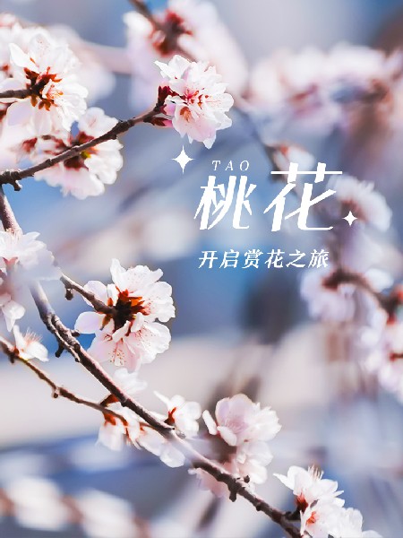 追花指南第三期！別等了 今天就去和桃花撞個(gè)滿懷