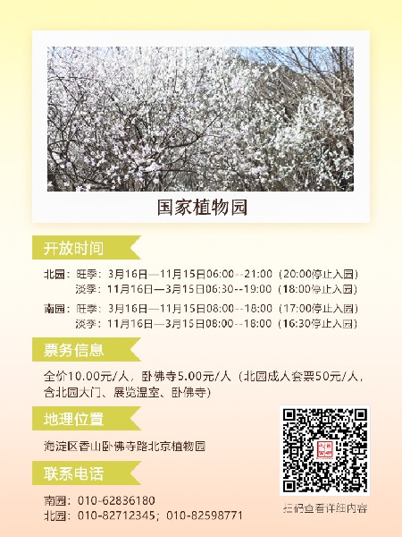 追花指南第六期！杏花雨 楊柳風(fēng) 北京最美的杏花在這里
