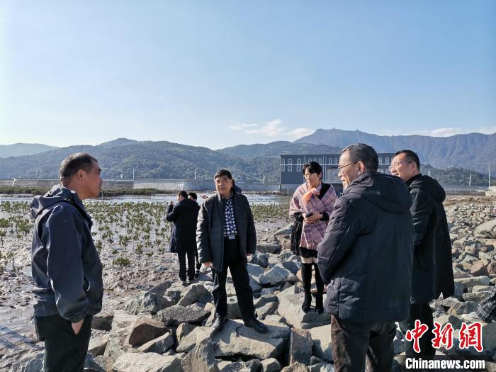 浙江海洋生態(tài)觀察：智慧大腦如何解鎖藍(lán)色發(fā)展密碼？