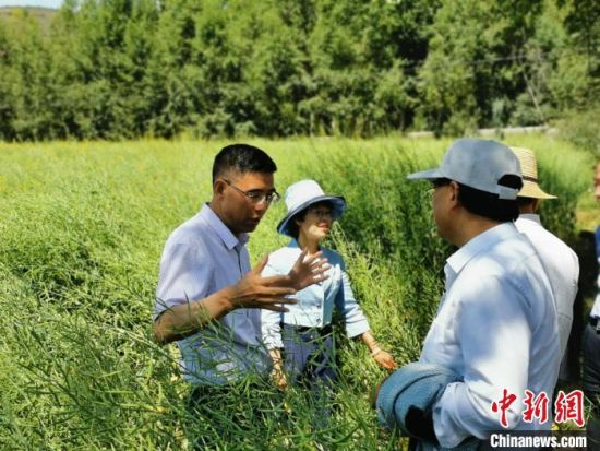 圖為九三學(xué)社青海省委主委杜德志(左一)在基層調(diào)研。受訪者供圖