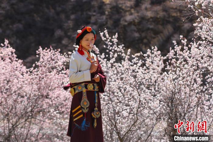 白玉縣河坡鎮(zhèn)桃花林間身穿民族服飾的藏族女孩?！“子袢诿?攝