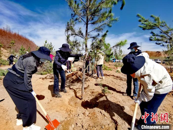 圖為西寧市城東區(qū)干部職工參加義務植樹?！?zhí)砀?攝