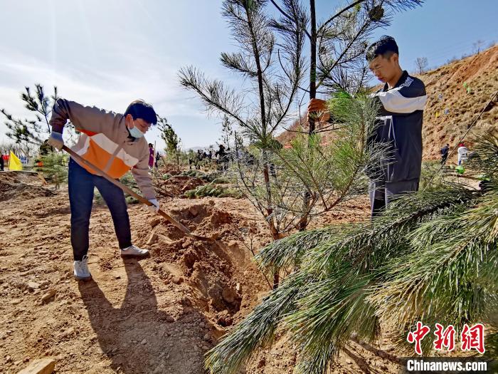 圖為西寧市城東區(qū)義務植樹活動現(xiàn)場。　張?zhí)砀?攝
