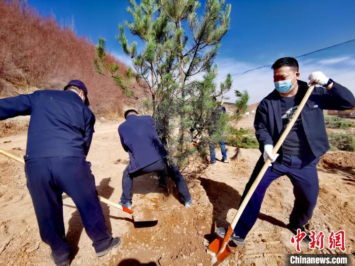 圖為西寧市城東區(qū)義務植樹活動現(xiàn)場?！?zhí)砀?攝