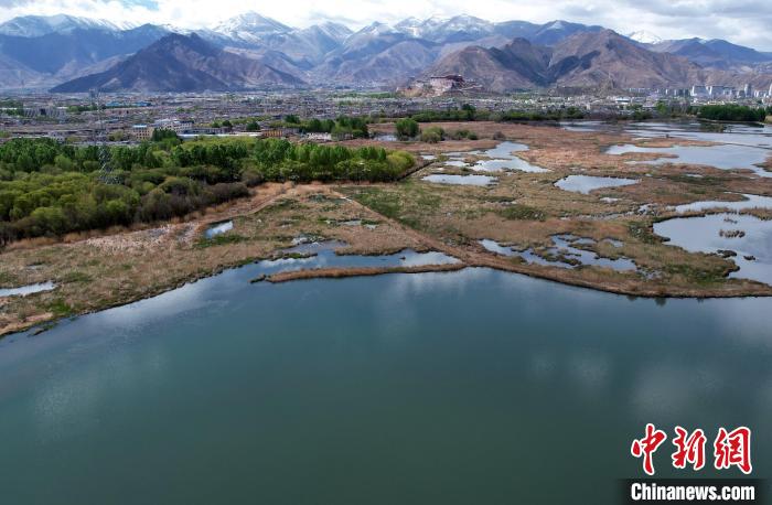 圖為拉薩拉魯濕地。(無人機(jī)照片) 李林 攝