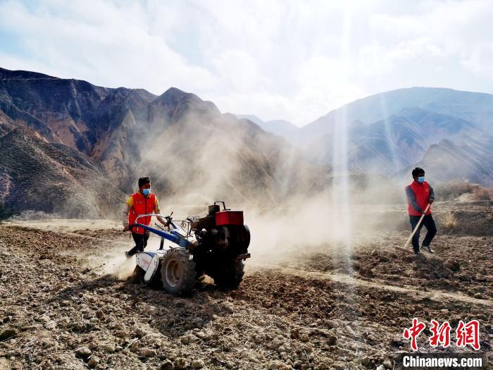 圖為拖拉機(jī)在山地犁地。　張?zhí)砀?攝