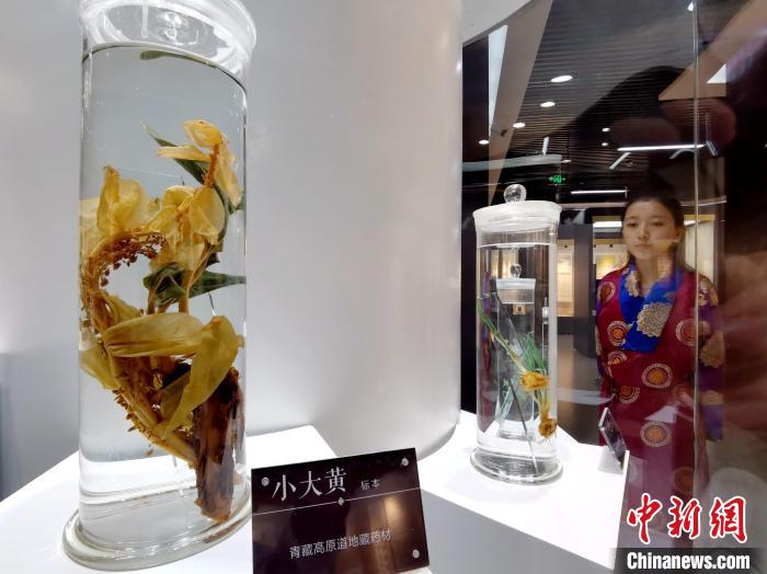 青海中藏醫(yī)藥發(fā)展提速：建設(shè)一批重點(diǎn)專(zhuān)科學(xué)科，推廣一批適宜技術(shù)