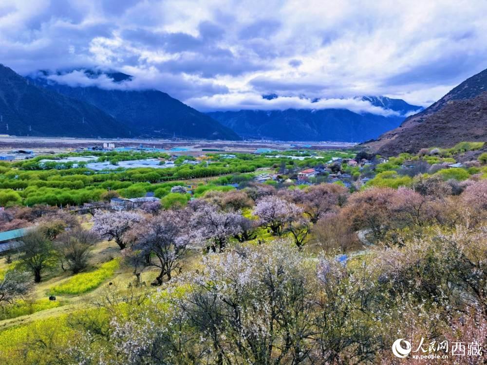桃花從中的“童話小鎮(zhèn)”。人民網(wǎng) 李海霞攝